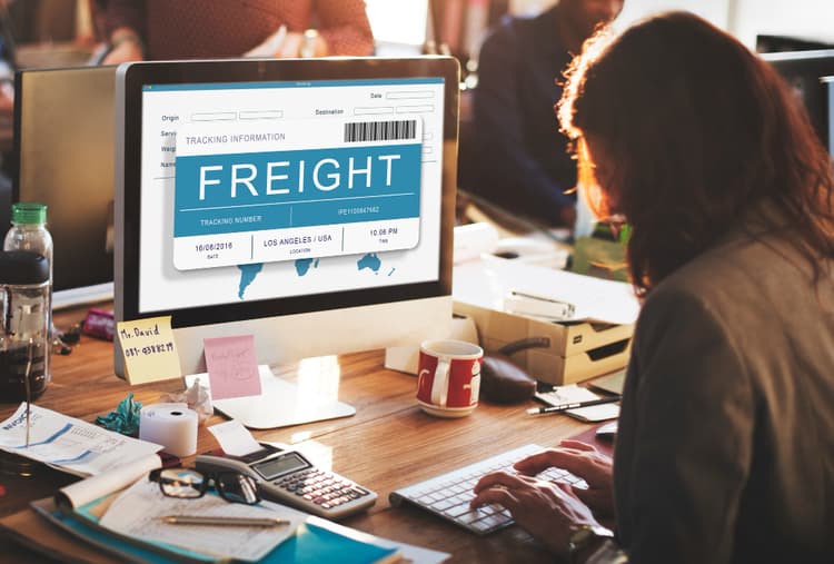 Import Export Company Setup
