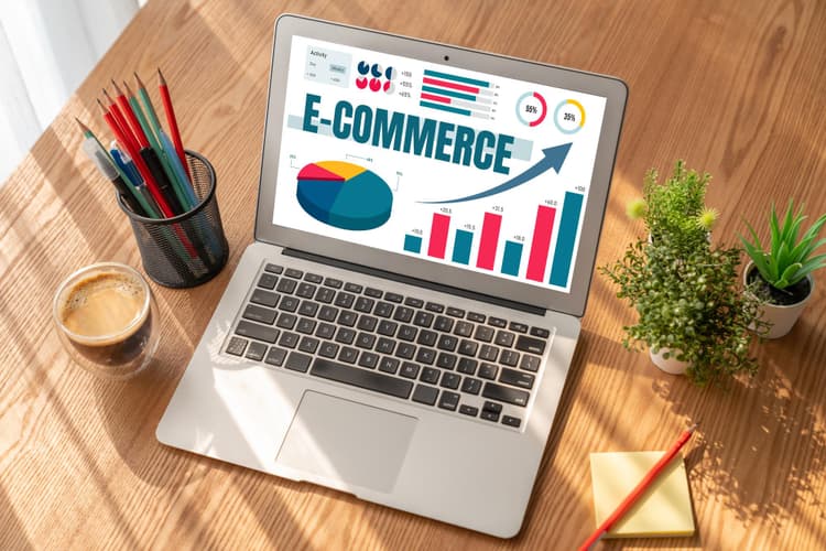 LLC Setup for E-Commerce for Entrepreneurs