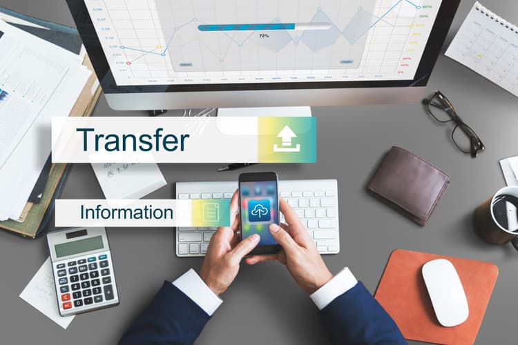 International Business Account with Wise