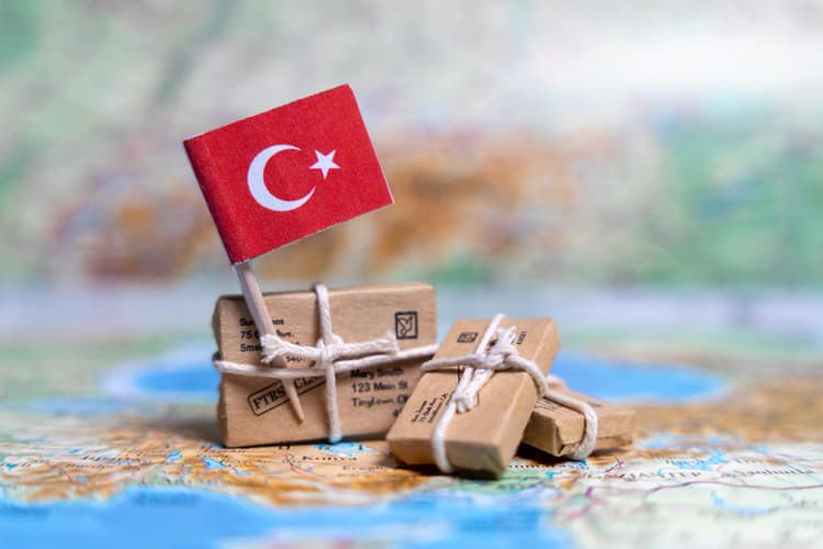 Open Foreign Subsidiary from Turkey