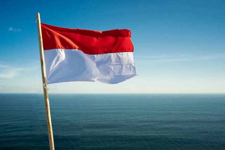 Indonesia Company Formation Investment Processes Documents and Advantages