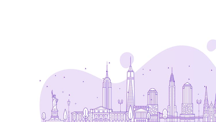 Kullanım Beyanı (ABD)