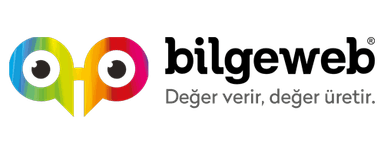 Bilgeweb